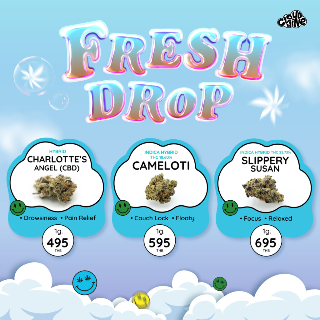 Fresh Drop at Cloud Nine