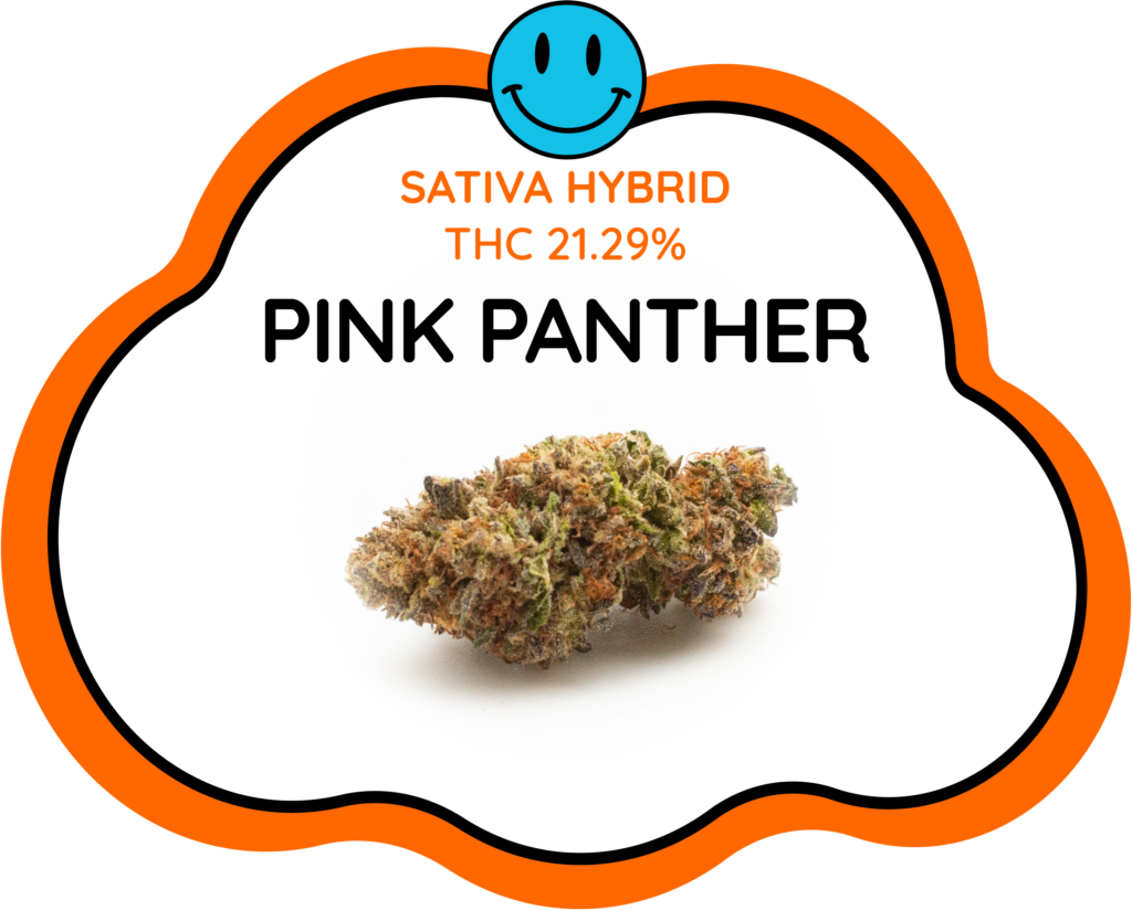 Pink Panther Strain