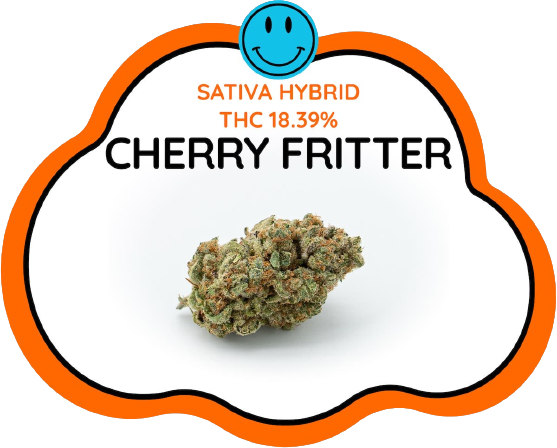 Cherry Fritter Strain