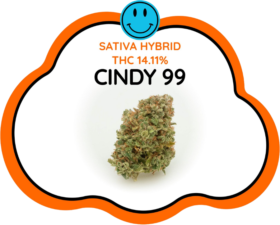 Cindy 99