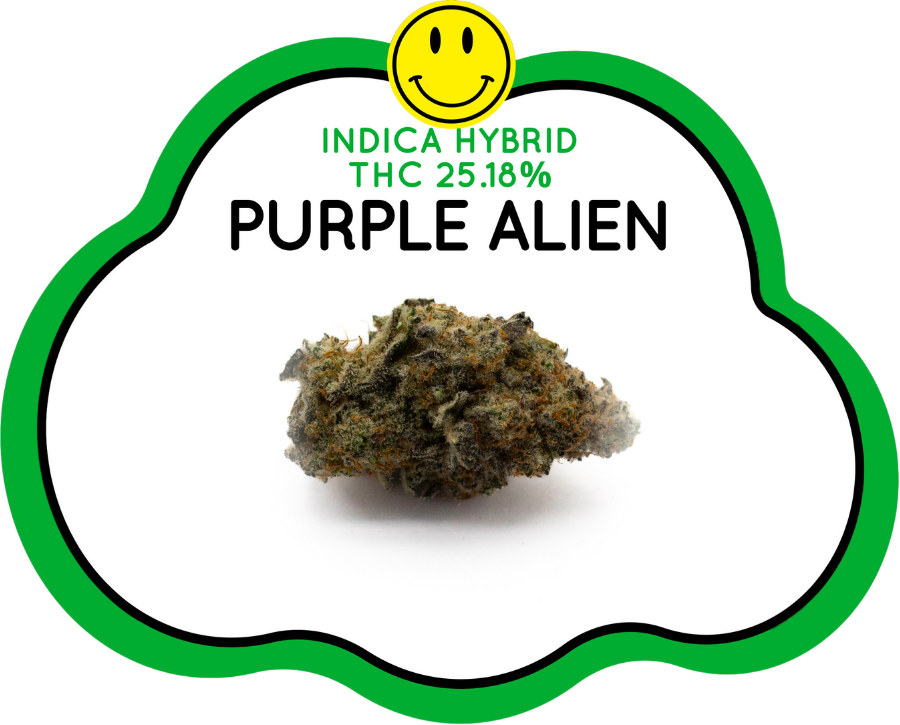 purple Alien